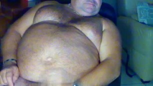 Big belly bear